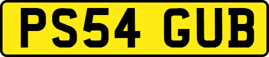 PS54GUB