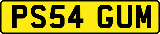 PS54GUM