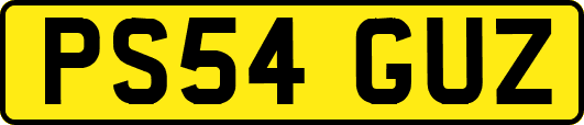 PS54GUZ