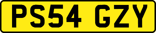 PS54GZY