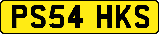 PS54HKS
