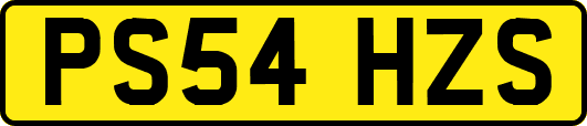 PS54HZS