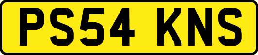 PS54KNS