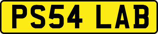 PS54LAB