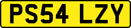 PS54LZY