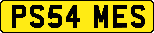 PS54MES