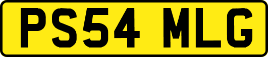 PS54MLG