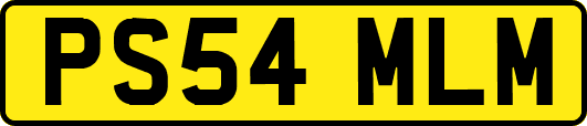 PS54MLM