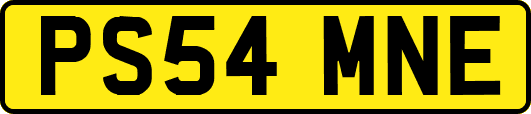 PS54MNE