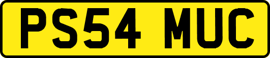 PS54MUC