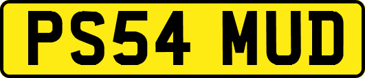 PS54MUD