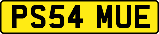 PS54MUE