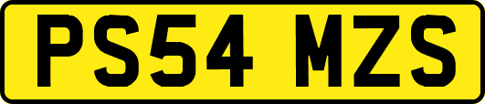 PS54MZS