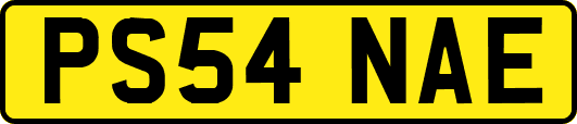 PS54NAE