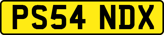 PS54NDX
