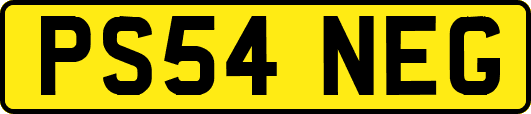 PS54NEG