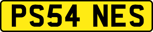 PS54NES