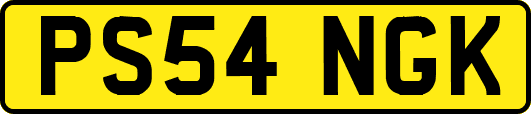 PS54NGK
