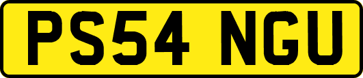 PS54NGU