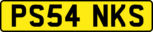 PS54NKS