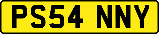 PS54NNY