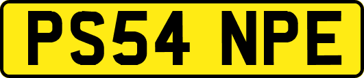 PS54NPE