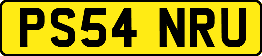 PS54NRU