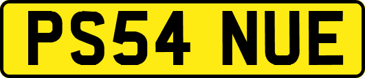 PS54NUE