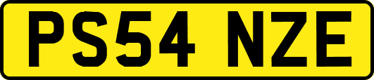 PS54NZE