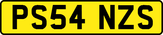 PS54NZS