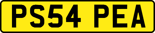 PS54PEA