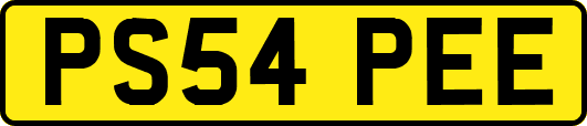 PS54PEE
