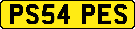 PS54PES