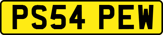 PS54PEW