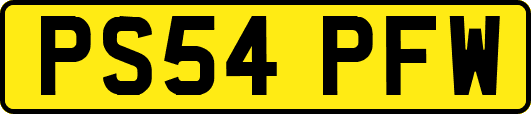 PS54PFW