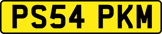 PS54PKM