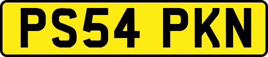 PS54PKN