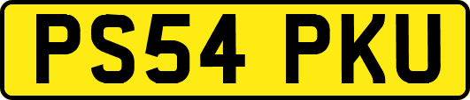 PS54PKU
