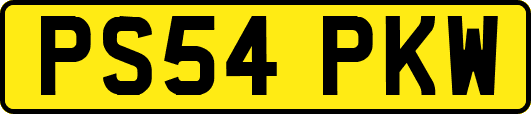 PS54PKW