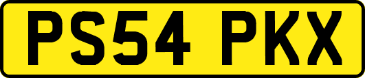 PS54PKX