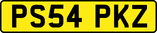PS54PKZ