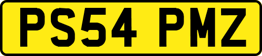 PS54PMZ