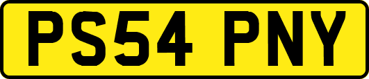 PS54PNY