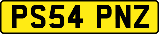 PS54PNZ