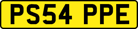 PS54PPE