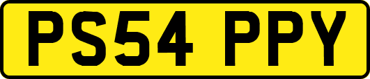 PS54PPY