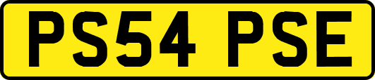 PS54PSE