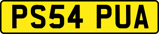 PS54PUA
