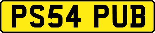 PS54PUB