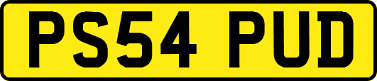 PS54PUD